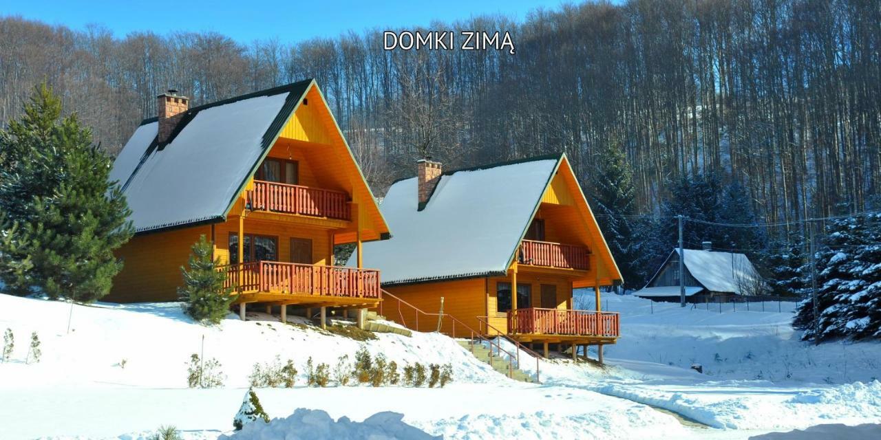 Baligród Bieszczady Sosnowa Alejaヴィラ エクステリア 写真