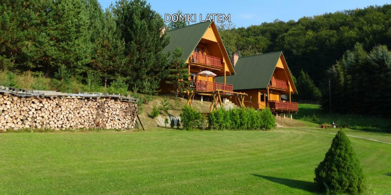 Baligród Bieszczady Sosnowa Alejaヴィラ エクステリア 写真