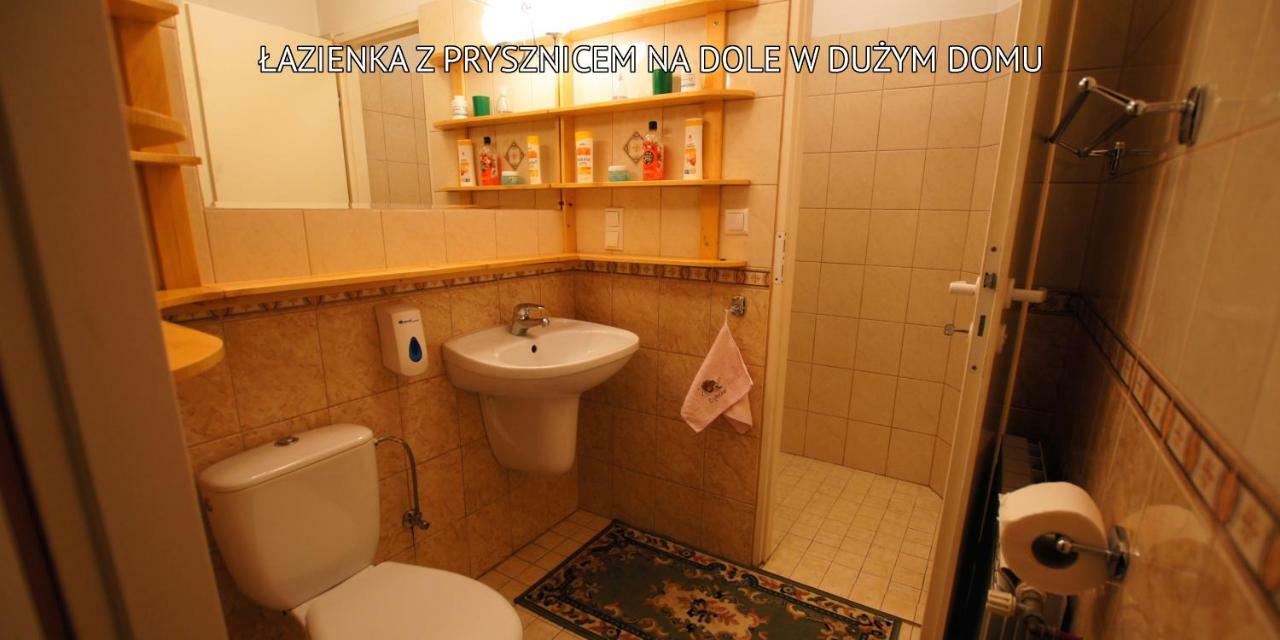 Baligród Bieszczady Sosnowa Alejaヴィラ エクステリア 写真